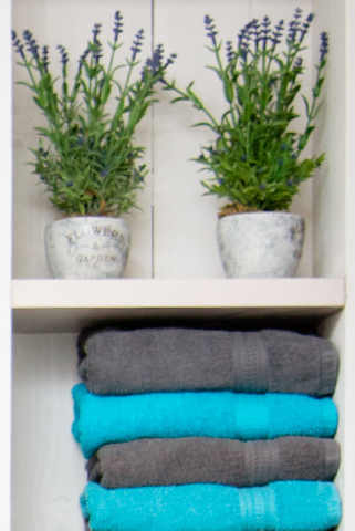 Trimsalon kast