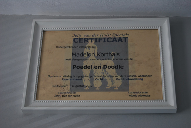 certificaat