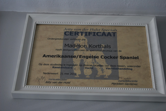 certificaat