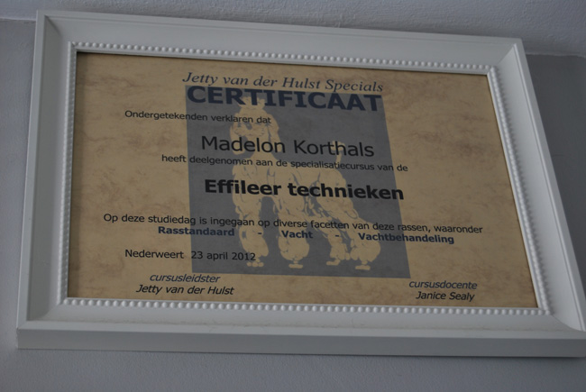 certificaat