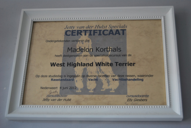 certificaat